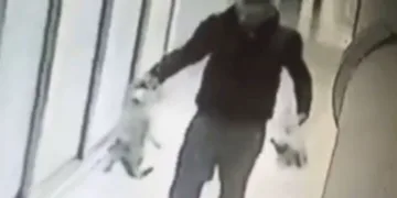 Kedi katili tutuklandı