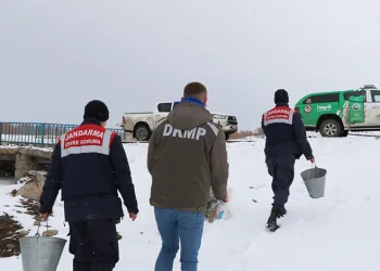 Ağrı’da yaban hayvanları unutulmadı