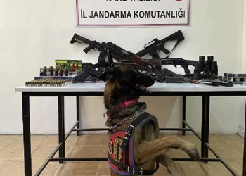 Kars’ta jandarmadan silah mühimmat kaçakçılığı operasyonu