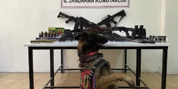 Kars’ta jandarmadan silah mühimmat kaçakçılığı operasyonu