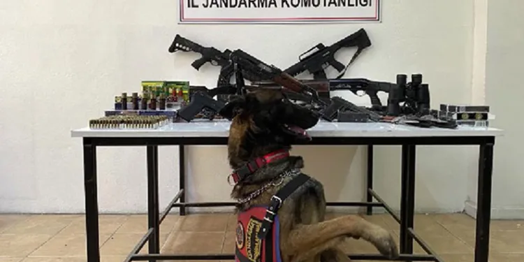 Kars’ta jandarmadan silah mühimmat kaçakçılığı operasyonu