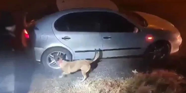 Uyuşturucu tacirleri polisin takibi sonucu yakalandı: 2 gözaltı