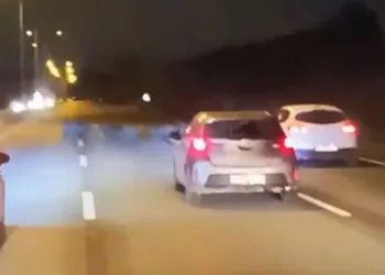 Bursa’da domuz sürüsü ana yola atladı