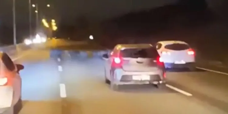 Bursa’da domuz sürüsü ana yola atladı