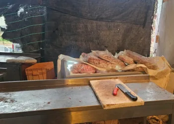 Bursa’da kaçak kesimhaneye baskın