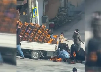 Bursa’da dökülen mandalinalar için seferber oldular
