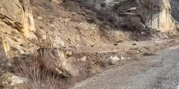 Dağ keçileri yol kenarına indi