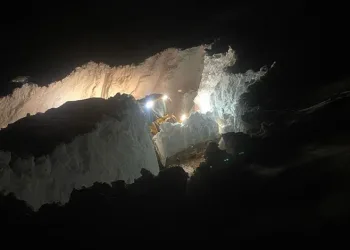Ocak ayında tezgahlarda levrek bereketi