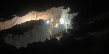 Ocak ayında tezgahlarda levrek bereketi