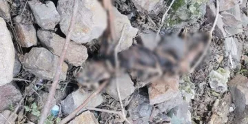 İzmir Tarihi Asansör yakınında insan kemikleri bulundu