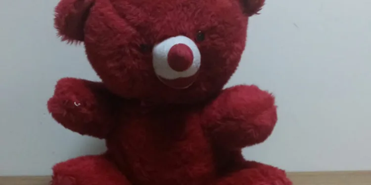 Pelüş ayıdan uyuşturucu çıktı