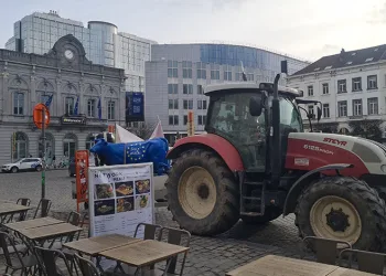 Avrupa Parlamentosu önünde çiftçilerden protesto