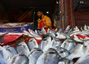 Havalar soğudu, balığa olan rağbet arttı
