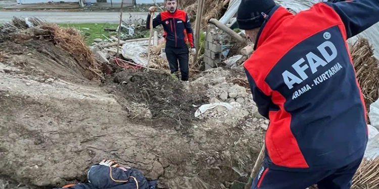 Batman’da ahır çöktü: 8 yavru köpekten 5’i kurtarıldı