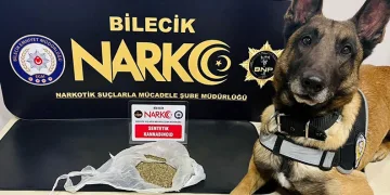 Araçlarında uyuşturucu madde çıkan 2 şahıs gözaltına alındı