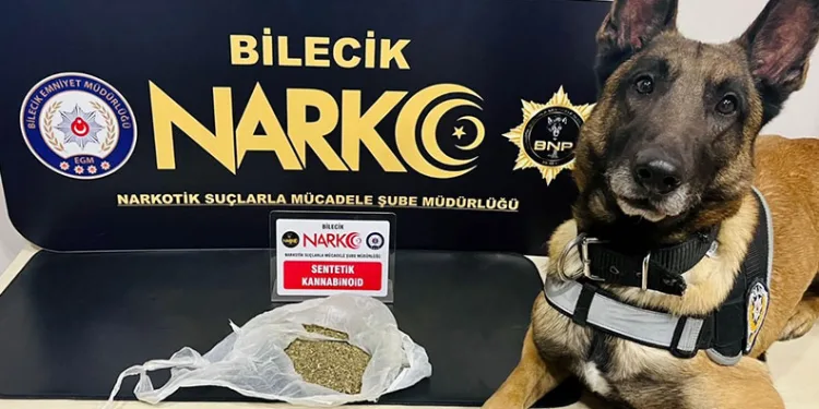 Araçlarında uyuşturucu madde çıkan 2 şahıs gözaltına alındı