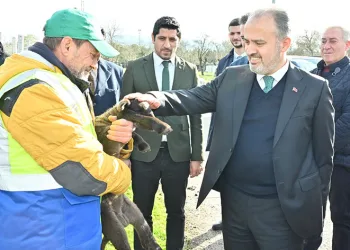 Büyükşehir’le çaresiz değilsiniz