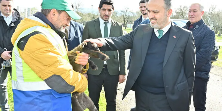 Büyükşehir’le çaresiz değilsiniz