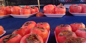 Kış ortasında bile taptaze