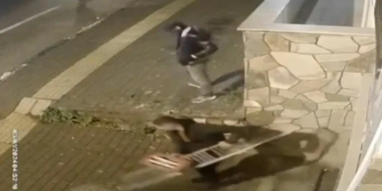 Bursa’da mazgal hırsızlığı kamerada