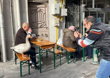 12 yıllık arkadaş
