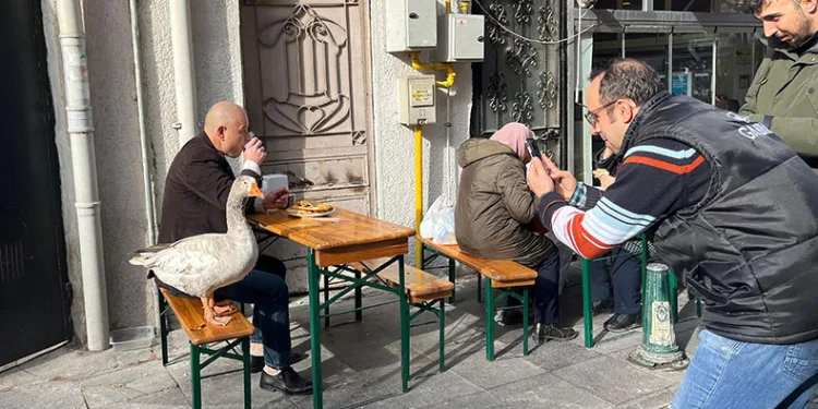 12 yıllık arkadaş