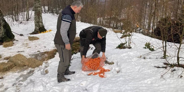 Bursa’da yaban hayvanlarına yem desteği