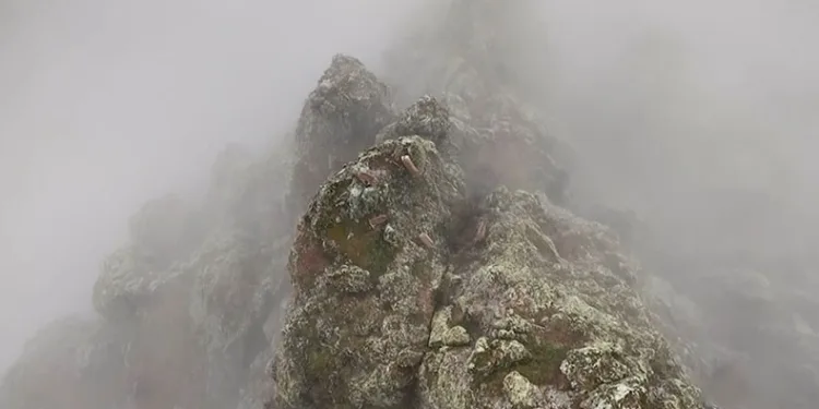 Belgeselleri aratmayan görüntüler