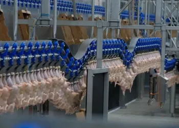 Güven endeksi perakende ticaret sektöründe azaldı