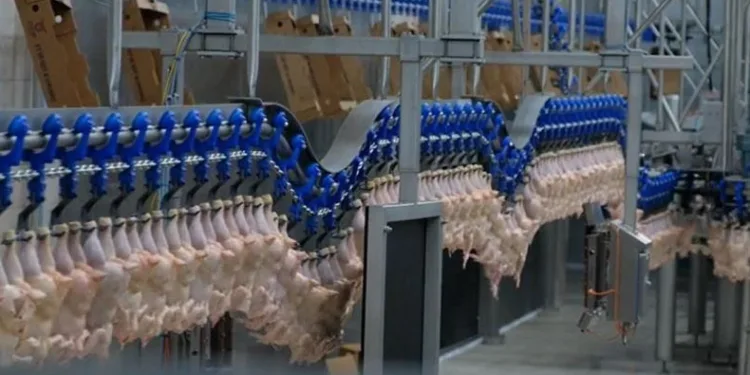 Güven endeksi perakende ticaret sektöründe azaldı