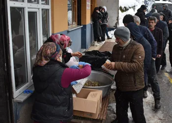 Geleneksel olan festivalde 1 ton hamsi pişti