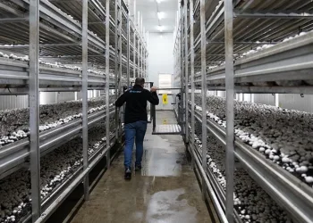 14 milyon liralık yüzde 50 hibe verilecek