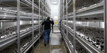 14 milyon liralık yüzde 50 hibe verilecek
