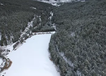Soğuklar nedeniyle gölet buz tuttu