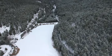 Soğuklar nedeniyle gölet buz tuttu
