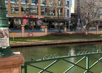 Eskişehir’de kayıp hayvan ilanları artıyor