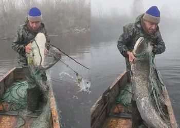 Balık tutan Trakyalının coşkusu
