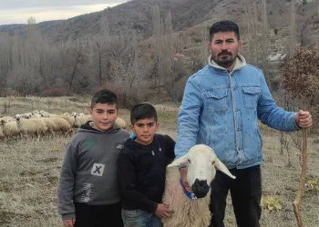 Şehir hayatından uzaklaşıp köyüne döndü