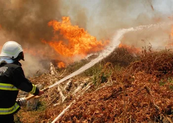 Kahramanmaraş itfaiyesi 12 bin 504 olaya müdahale etti
