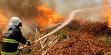 Kahramanmaraş itfaiyesi 12 bin 504 olaya müdahale etti