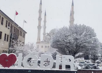 Iğdır’da kar yağışı etkili oluyor