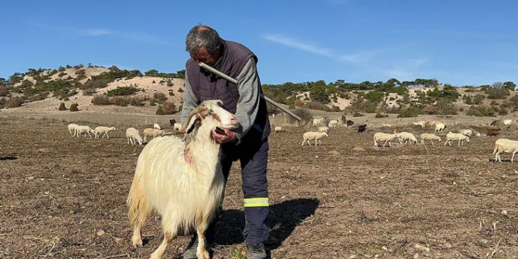 Hayvanları seslenerek yanına çağırıyor
