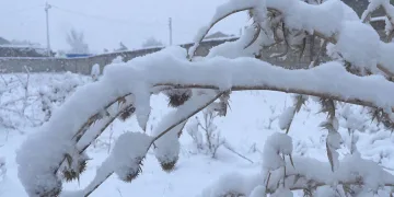 Beyaza bürünen Ağrı buz tuttu