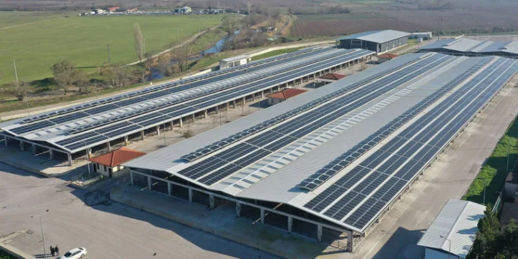 Tükettiği Enerjinin Yüzde 25’ini Üretiyor