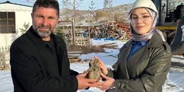 Kalp şeklindeki taş merak uyandırdı