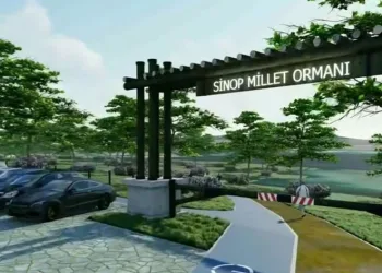 Sinop Millet Ormanı bu yıl tamamlanacak