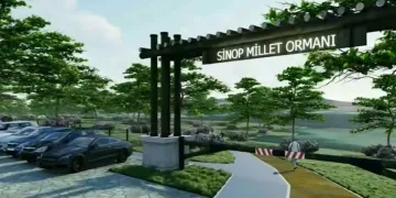 Sinop Millet Ormanı bu yıl tamamlanacak