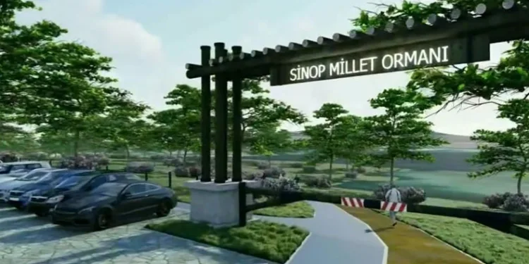 Sinop Millet Ormanı bu yıl tamamlanacak