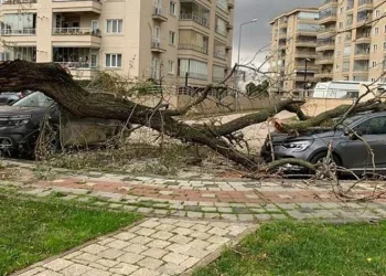 Bursa’da lodos hayatı felç etti