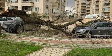 Bursa’da lodos hayatı felç etti